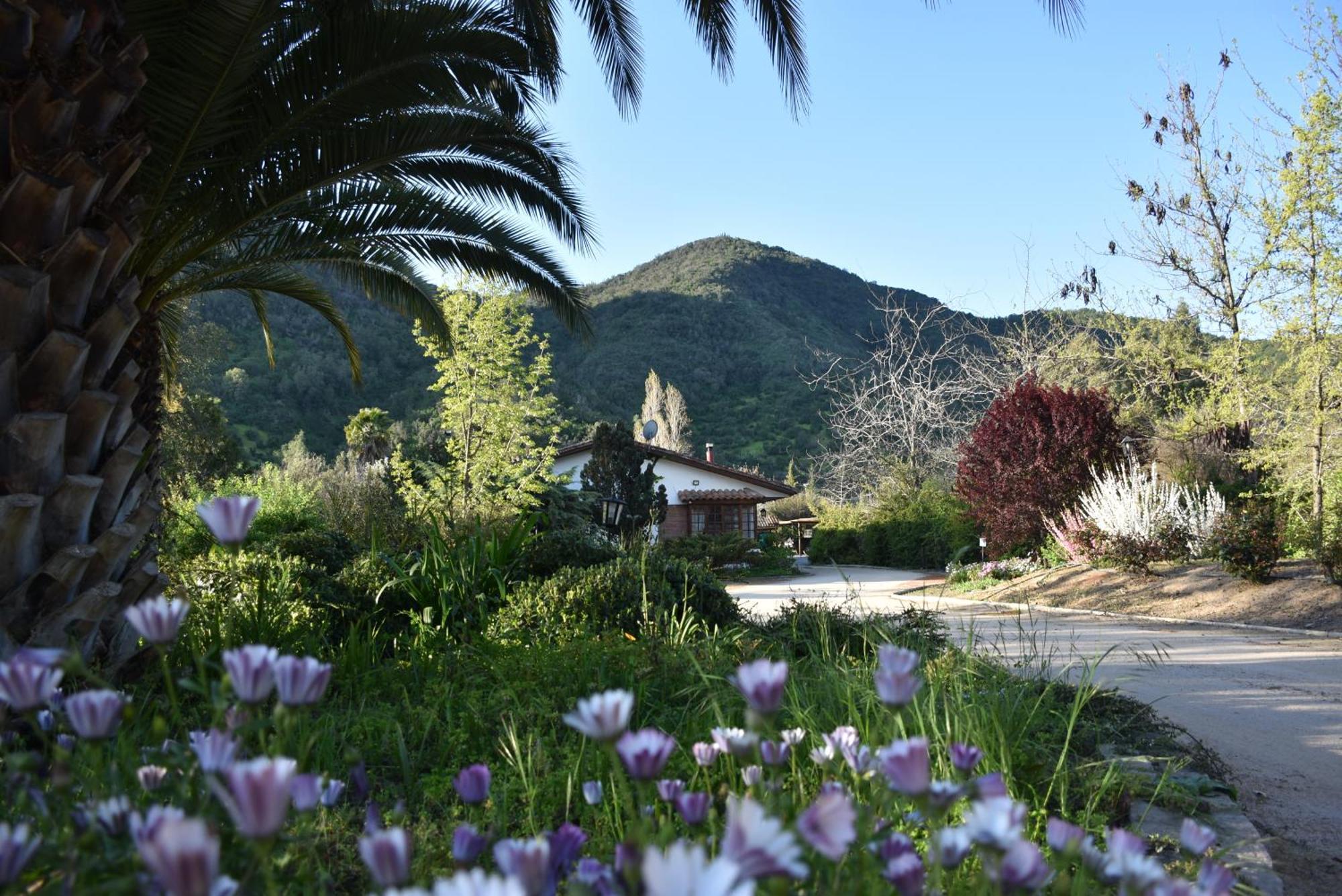 Hotel Boutique Solaz Bella Vista De Colchagua Santa Cruz Kültér fotó