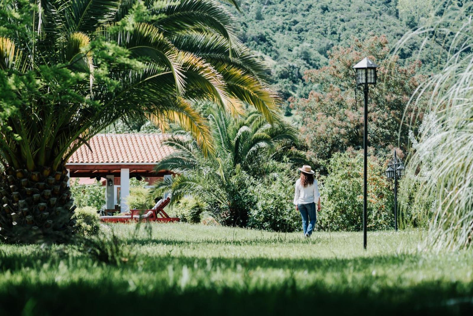 Hotel Boutique Solaz Bella Vista De Colchagua Santa Cruz Kültér fotó