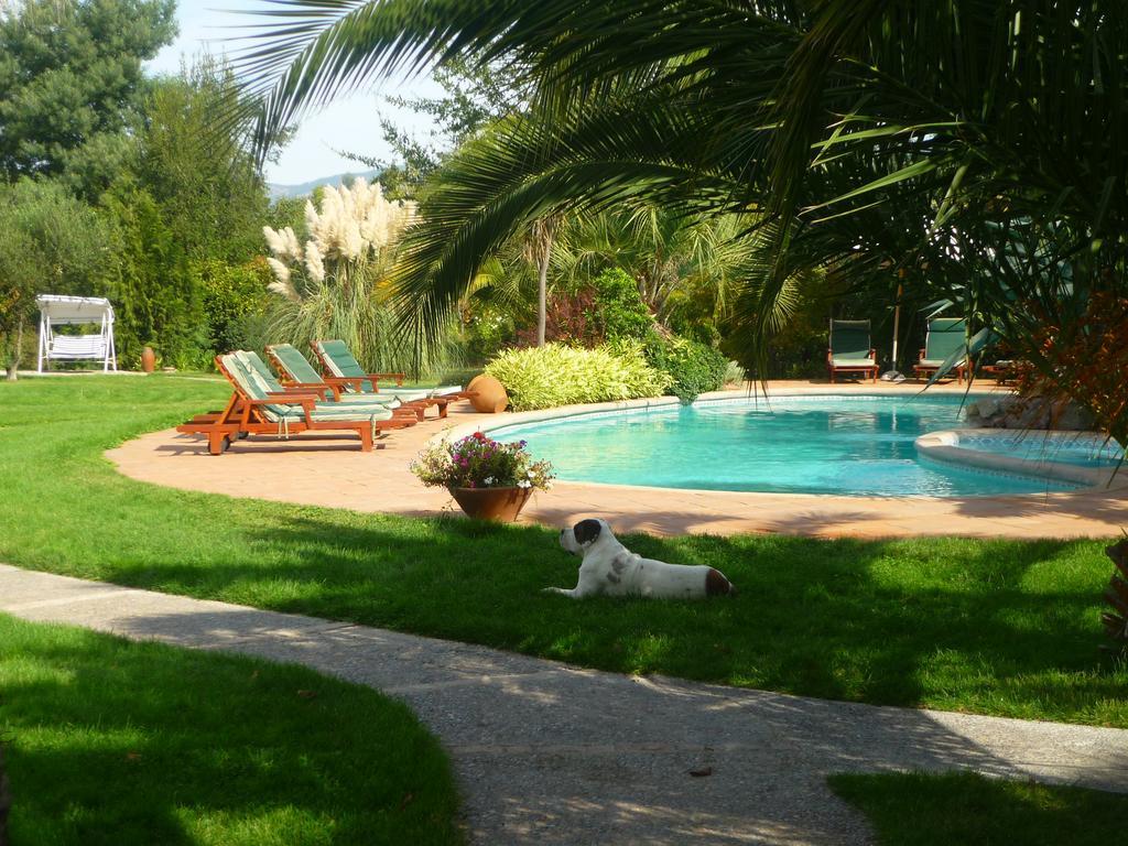 Hotel Boutique Solaz Bella Vista De Colchagua Santa Cruz Kültér fotó