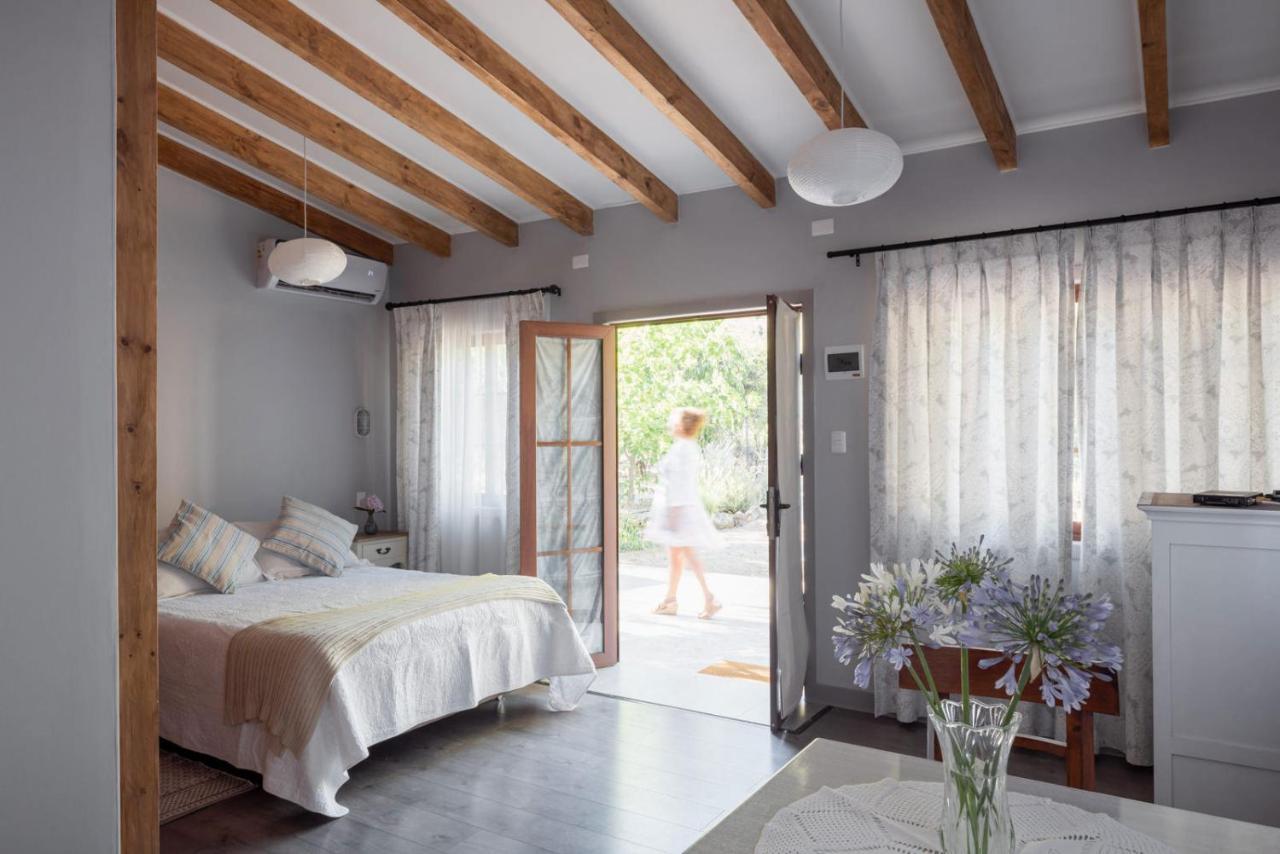 Hotel Boutique Solaz Bella Vista De Colchagua Santa Cruz Kültér fotó